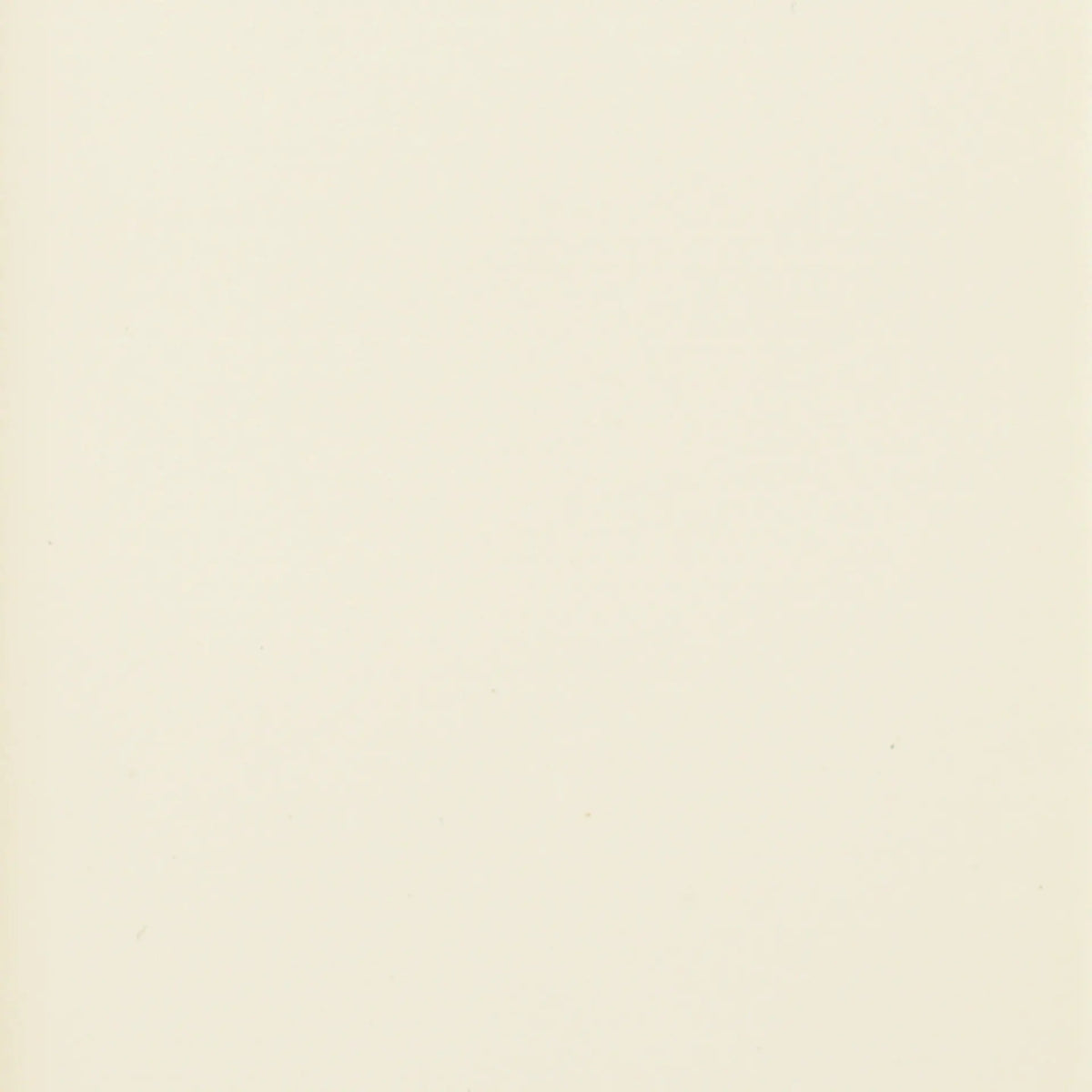 French Ivory Ivory